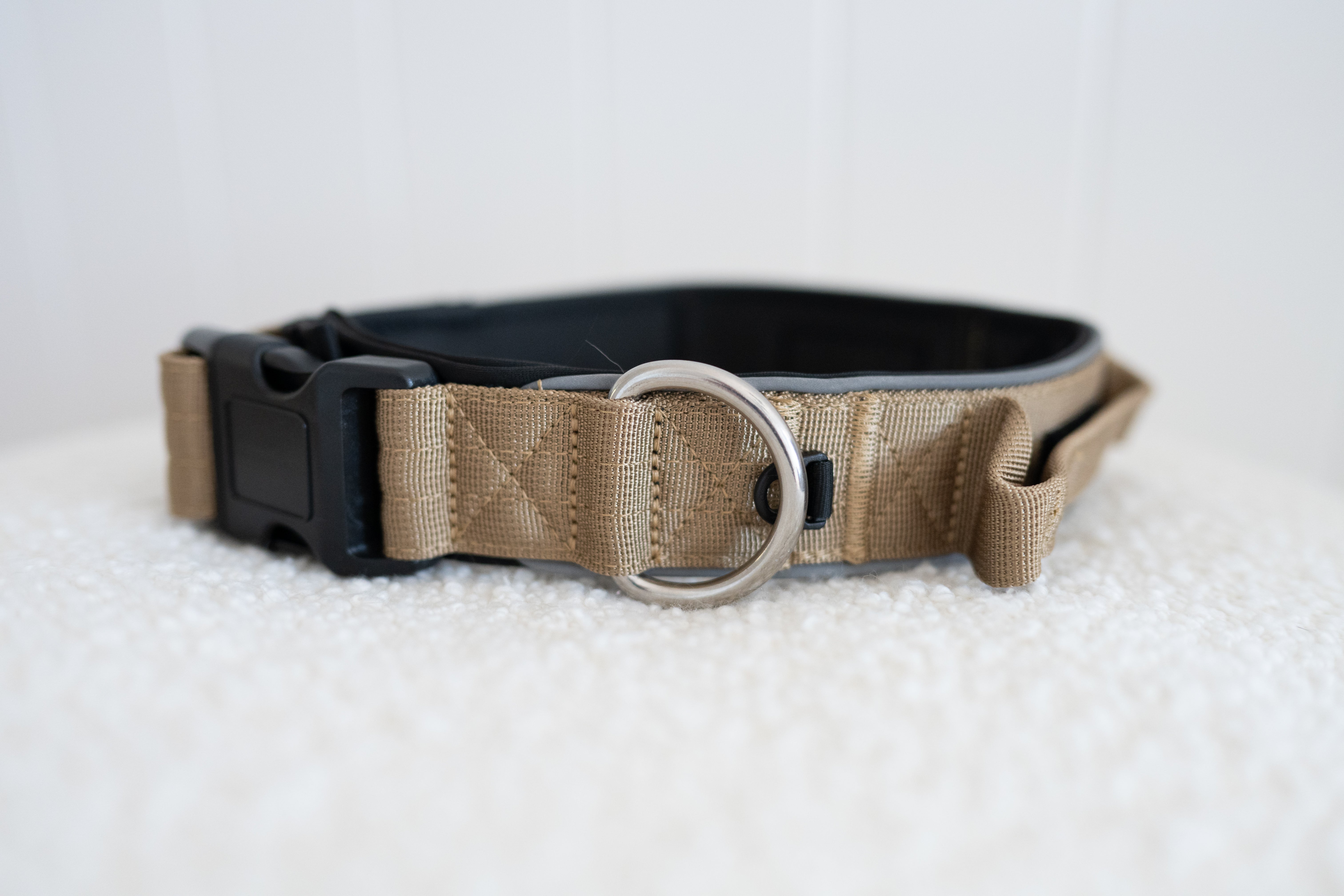 Rottweiller dog collar