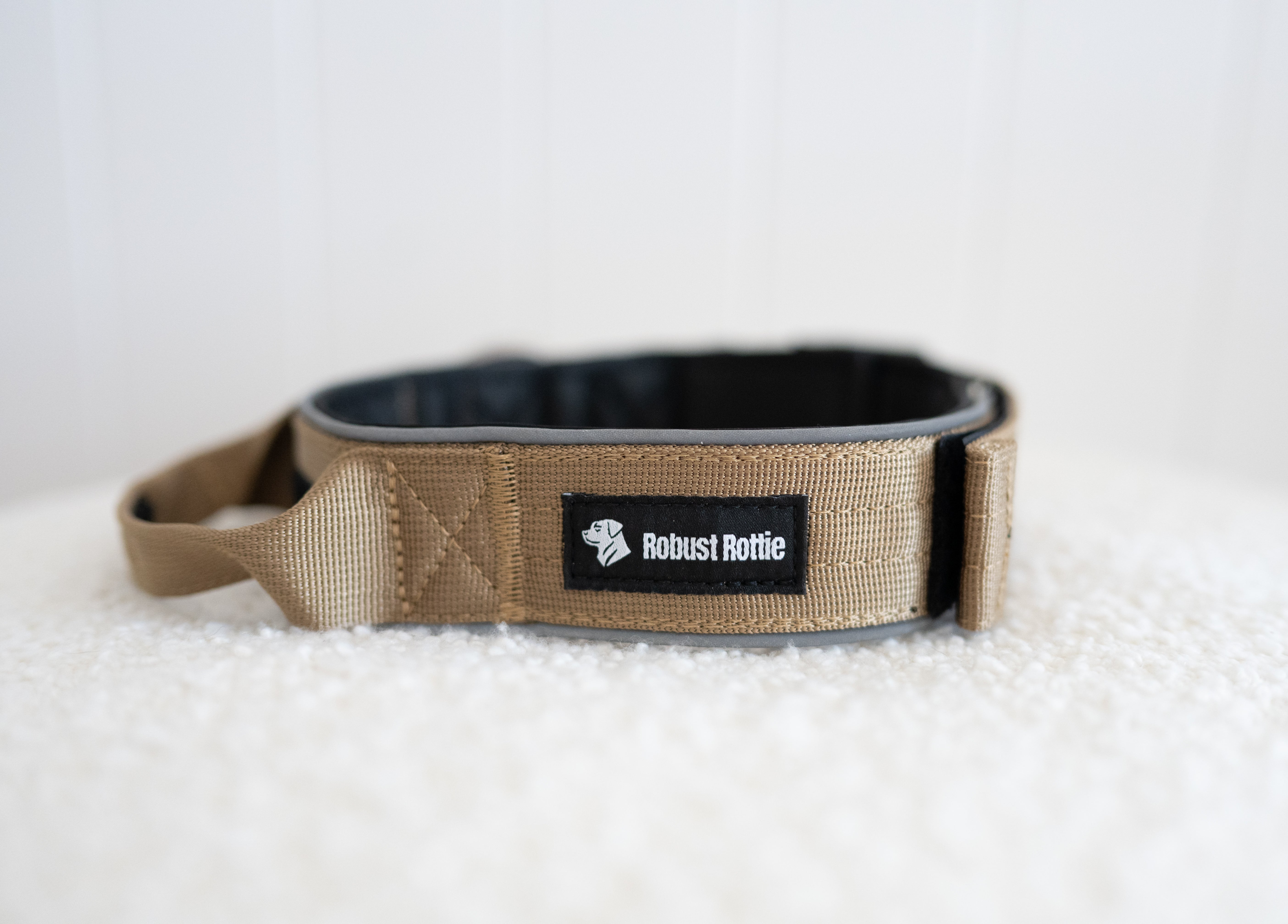 Rottweiller dog collar