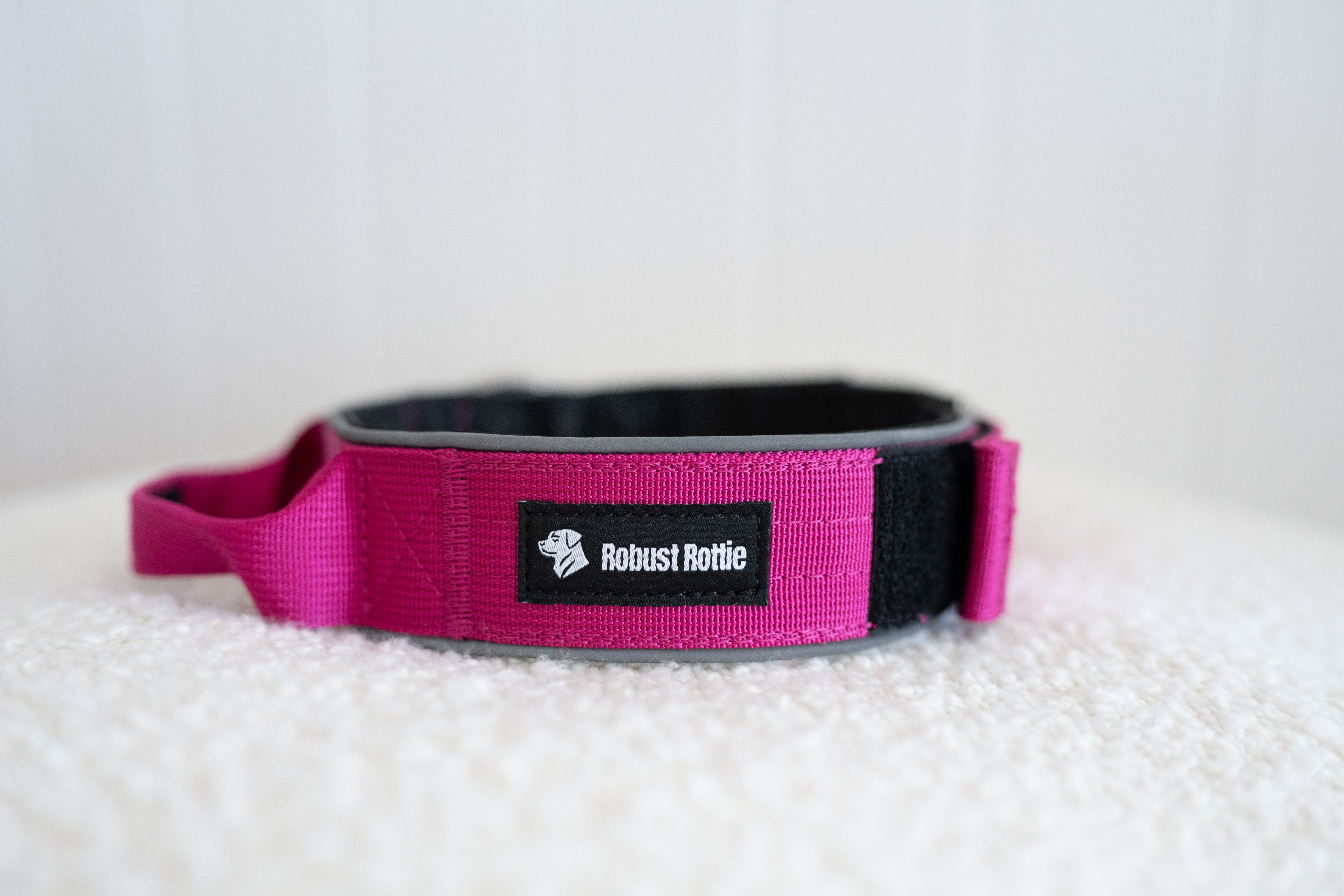 Rottweiller dog collar