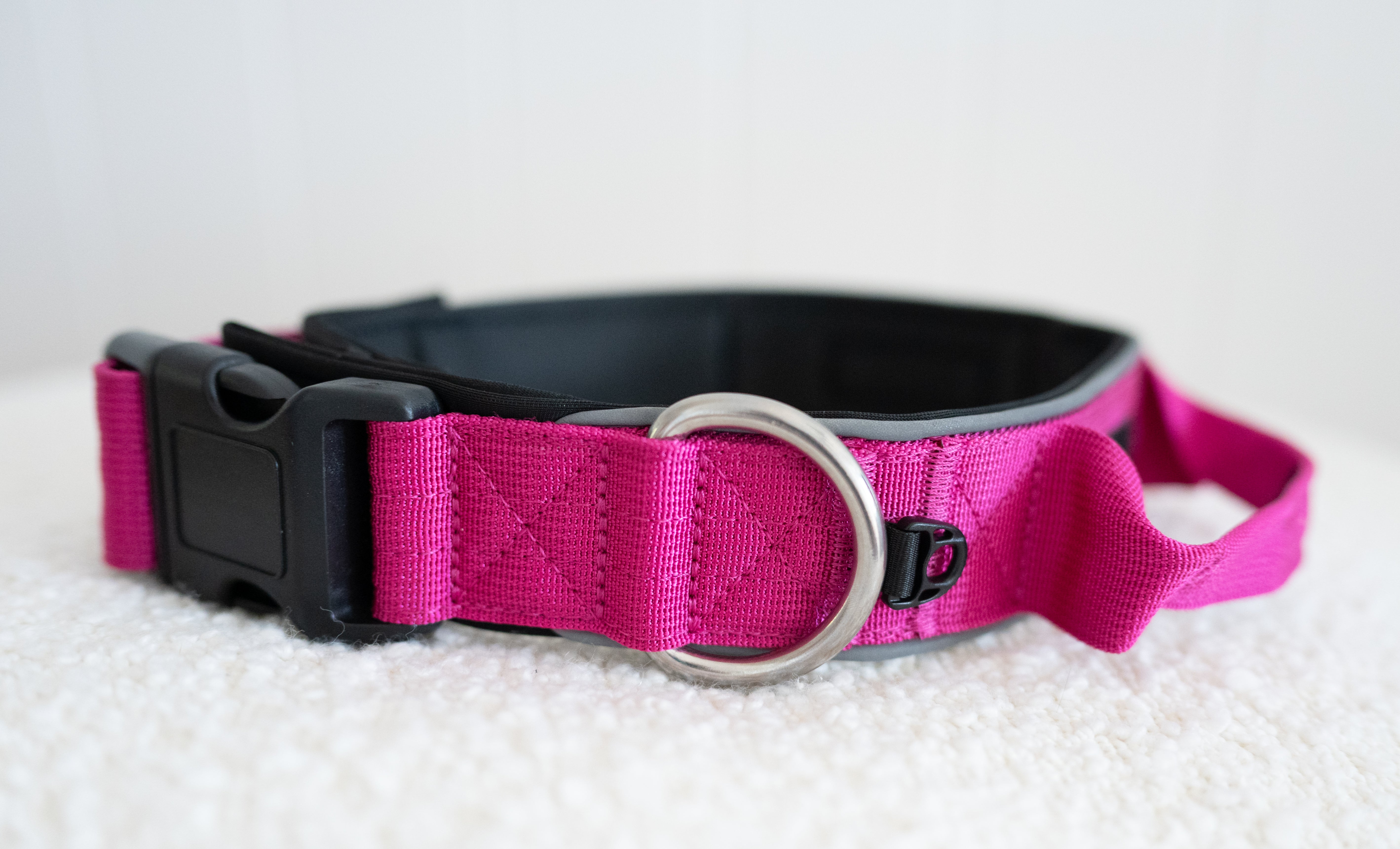 Rottweiller dog collar